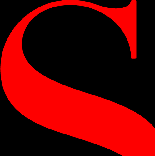 Salon.com logo