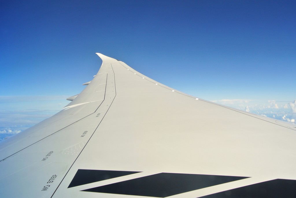 787 wing view
