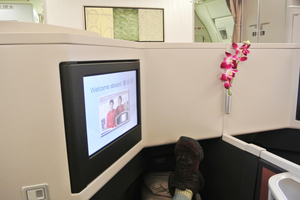 Cathay Pacific Orchid
